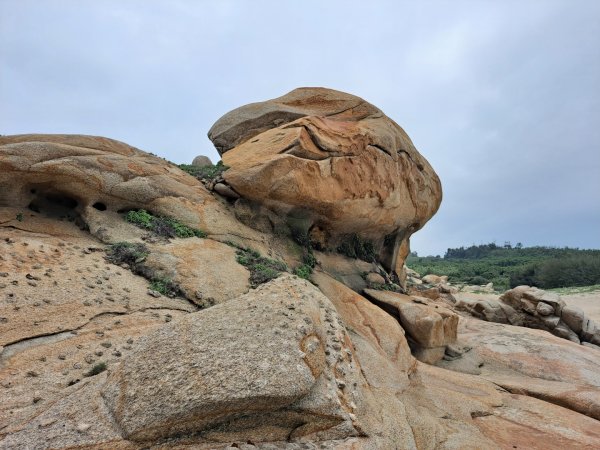 金門：獅山、東村炮測基地2487780