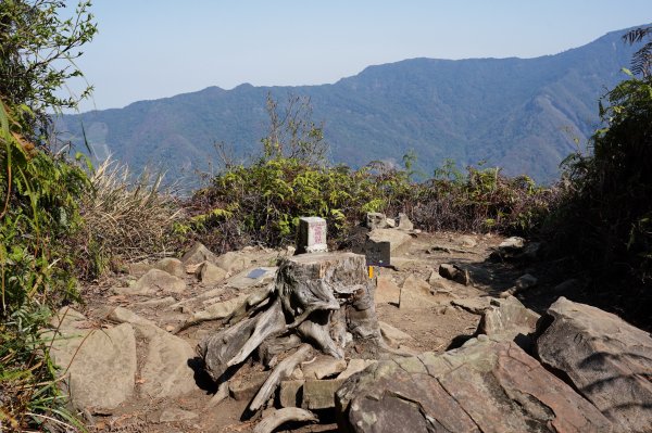 苗栗 泰安 上島山3023060