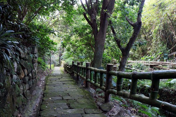 金面山。九蓮寺523760