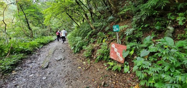 2021-09/19-宜蘭礁溪- 抹茶山三角崙山1466391