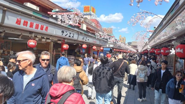 20250316日本旅遊自由行旅拍2783054