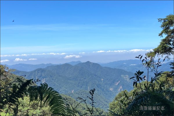 【谷關七雄】八仙山主峰步道2894871