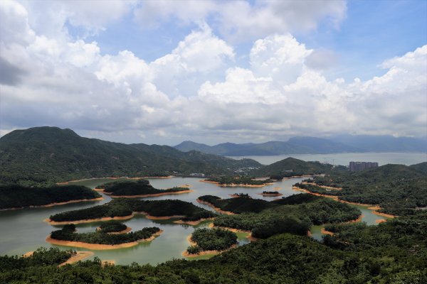 香港山系 － 九龍 • 新界934542