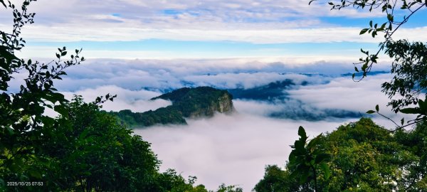 #馬那邦山 #琉璃光 #日出 #雲海 #山羌 #楓葉 10/25 & 11/12924611