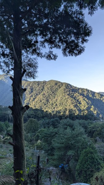 【中級山】五星級步道，谷關七雄馬崙山3021965