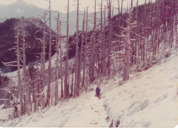 雪山主東峰賞雪行(民國71年)711200