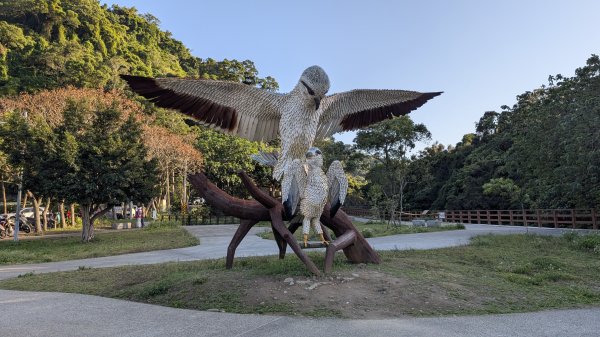 115.01.03山水步道-中庄吊橋-月眉落羽松之旅2977073