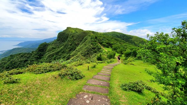 草嶺古道，跑馬古道，十一指古道，頭寮生態步道，金敏子山，詩朗山，王公坑山1721922