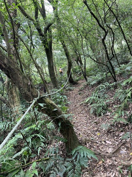 內寮古道-山川石2592393