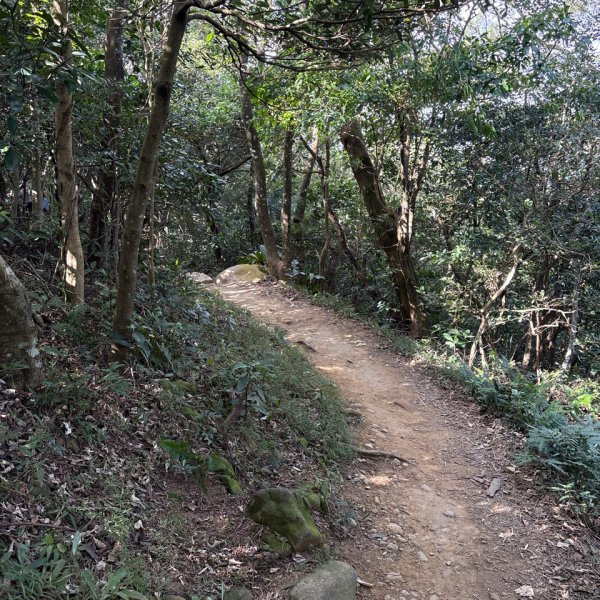 2025-11-30 飛鳳山 走來回2952647