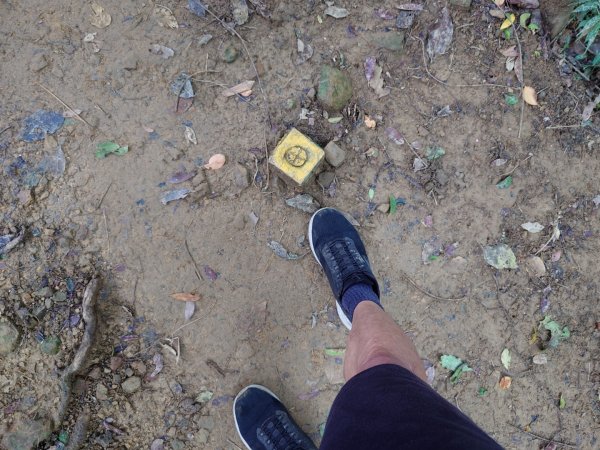 微笑山線之大棟山系2838155