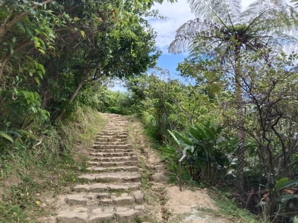 瑞芳區南子吝山+南子吝山稜(黃金七稜)+保羅尖8字走2873669