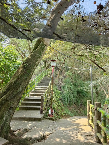 2024.03.17 竹東三山連走2900078