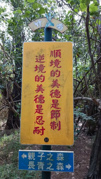 南山神壽：竹南海濱森林步道1901535