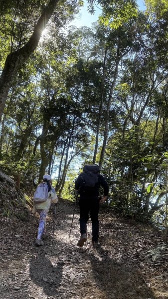 20260214 小百岳藤枝山3003009