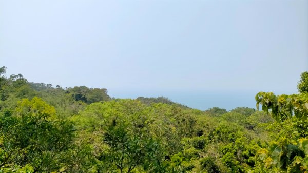 北柴山秘境之旅2754422