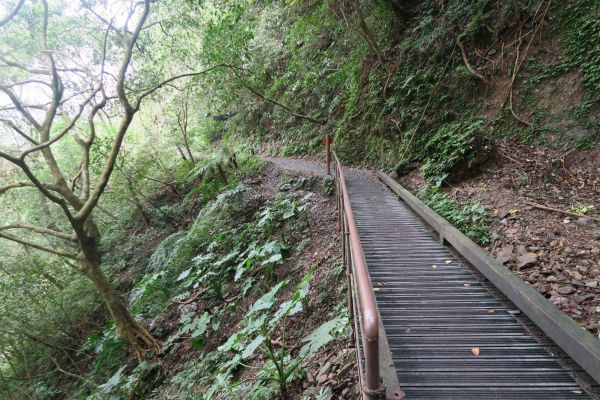 2016-3-18林美石磐步道207959