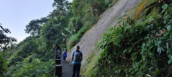 2025/11/22_五指山橫向登山步道+仙洞步道 O型2944188