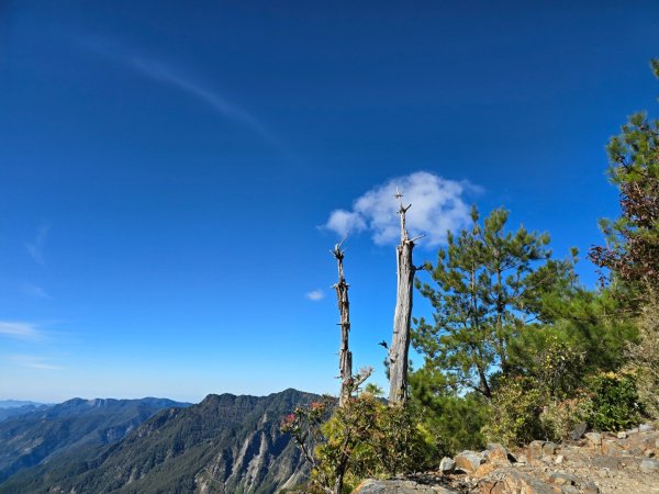 玉山前峰2663169