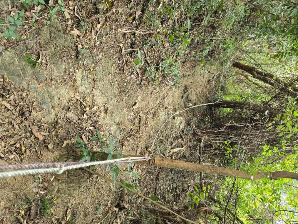 林牛山+聚興山2709919