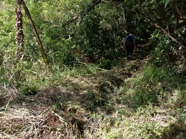 雙溪區內盤山坑古道+石硿子越嶺古道+盤山坑古道+過火坪古道O型2914380