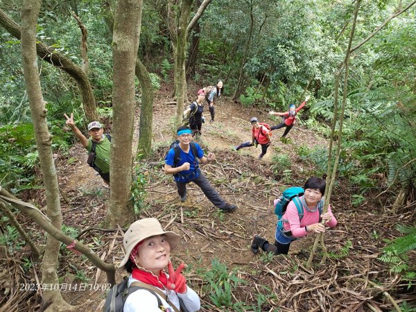 平溪鋒頭尖開路維護2317721