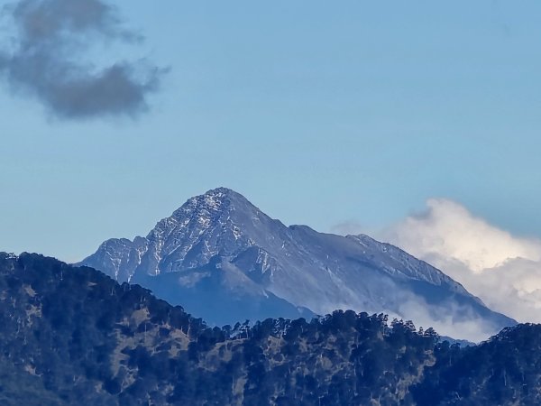 大雪山國家森林遊樂區賞楓／看神木／賞雪白山頭／賞大景2974282