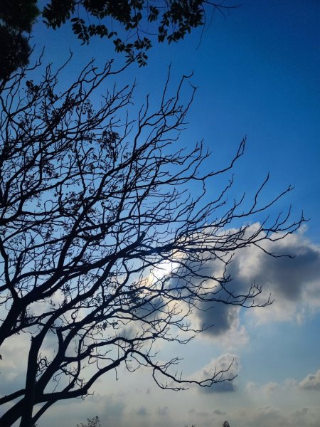 後花園散散步2977472