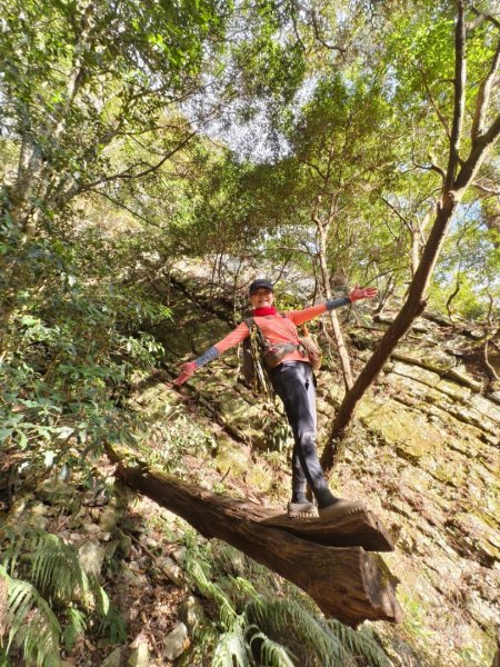 【谷關七雄】波津加(H1771.6m)肉腳配速成功2670618