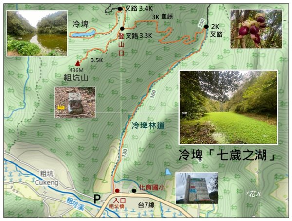 冷埤、粗坑山、血藤之旅3020347