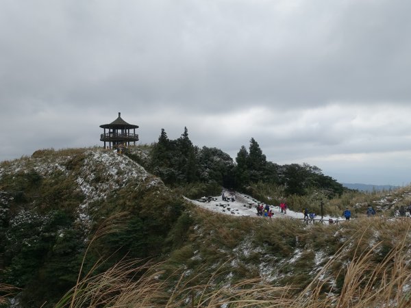 獨自勇敢。陽明山追雪成功1233781