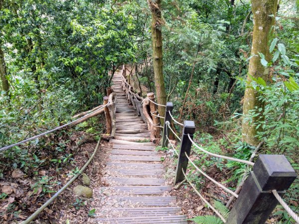 頭嵙山(小百岳#41)大坑4,5,1步道1003701