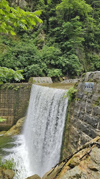 240814-白神山地世界自然遺產地域。美美兔不能錯過的日本東北健行路線。2603901