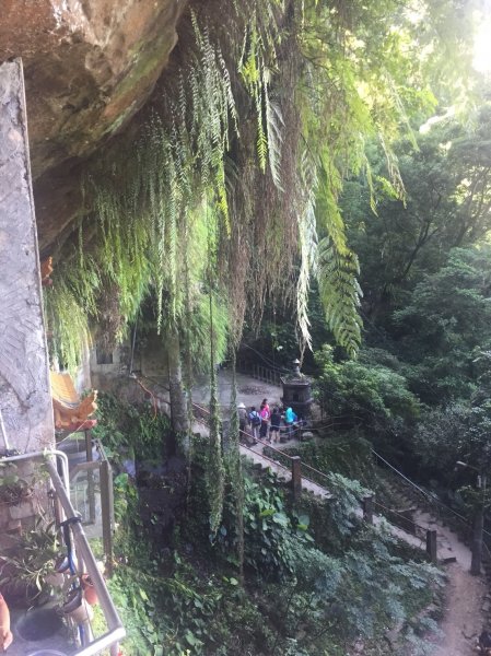 銀河洞、鵝角格山、待老坑山107.7.15(日)454585