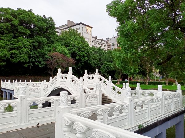 《細雨霏霏的碧湖公園環湖步道》1433554