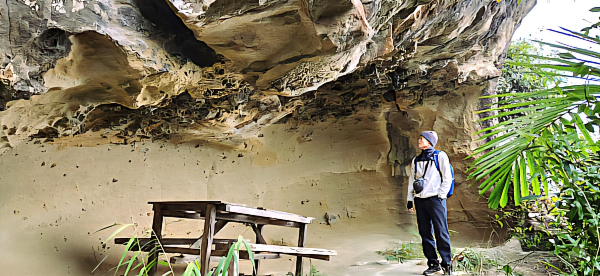 大暖尖山縱走火焰山（承暖縱走），秘境崖岩峭壁珊瑚洞（猴洞），朝山步道