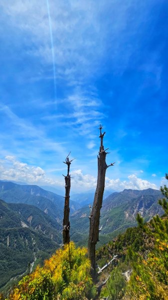 112.04.16 玉山前峰2123745