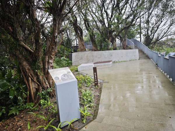 2026_0131 獅球嶺北峰2997787