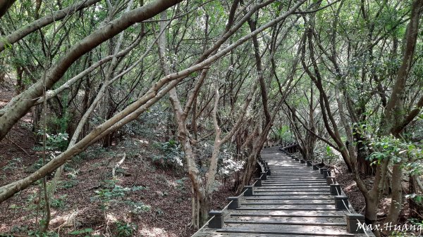 《台中》秋節秋虎｜大肚環保公園登山步道202310012301201