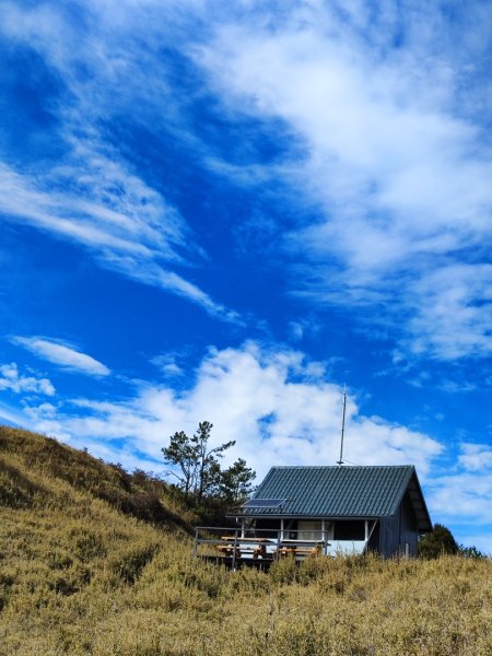 單攻志佳陽2725312