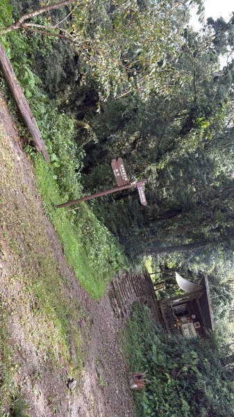 91北大武山（至檜谷山莊）115.10.043128661