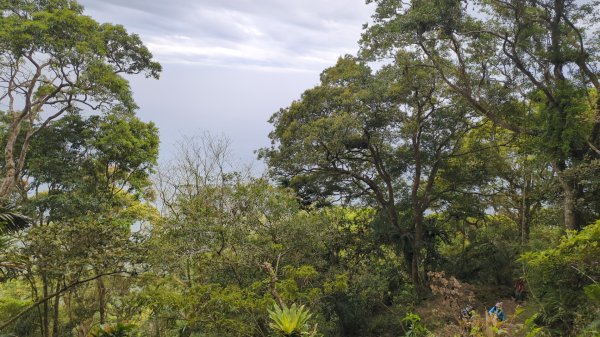 ∆小百岳∆ 大凍山2750766