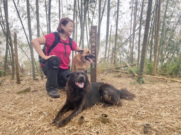 阿拔泉山、觀音石山、紅南坑山、獨立山2650840