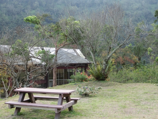 棲蘭山莊．神木園．明池93393