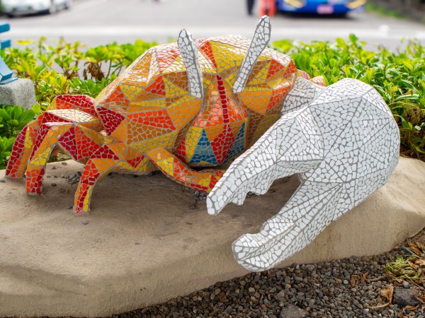 芳苑海空步道2961207