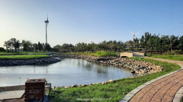 《台中》海濱夕陽｜龜殼生態公園連走大安紅樹林生態步道202410202632406