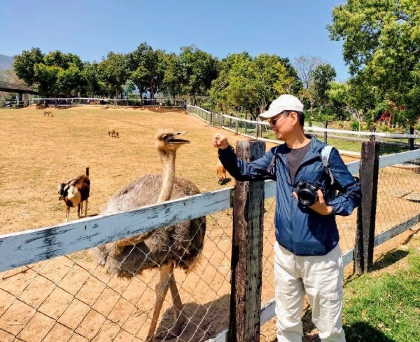 台東原生應用植物園3015243