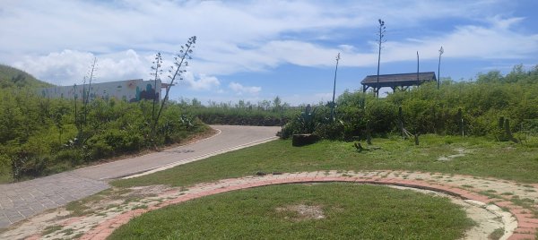 青灣仙人掌公園2872095