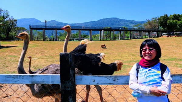 台東原生應用植物園3015264