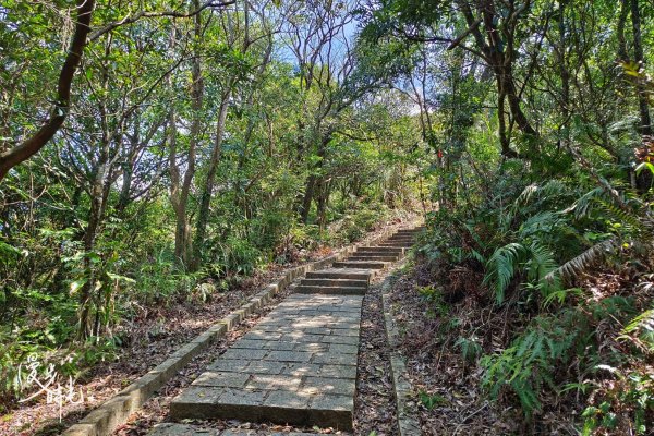 台北｜大崙頭尾山親山步道｜撰風旅食1654515